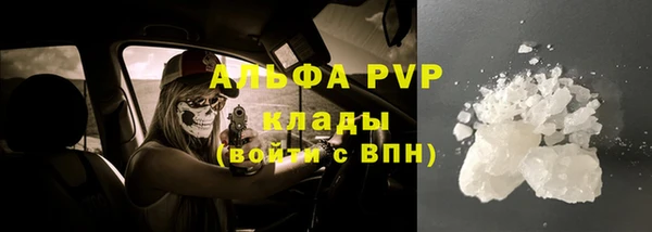 mdpv Каменногорск