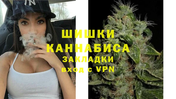 прущая мука Каменка