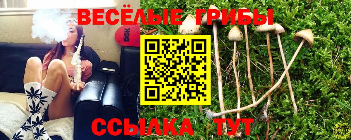 Псилоцибиновые грибы прущие грибы  Вход с VPN  Курган  Галлюциногенные грибы ЛСД 